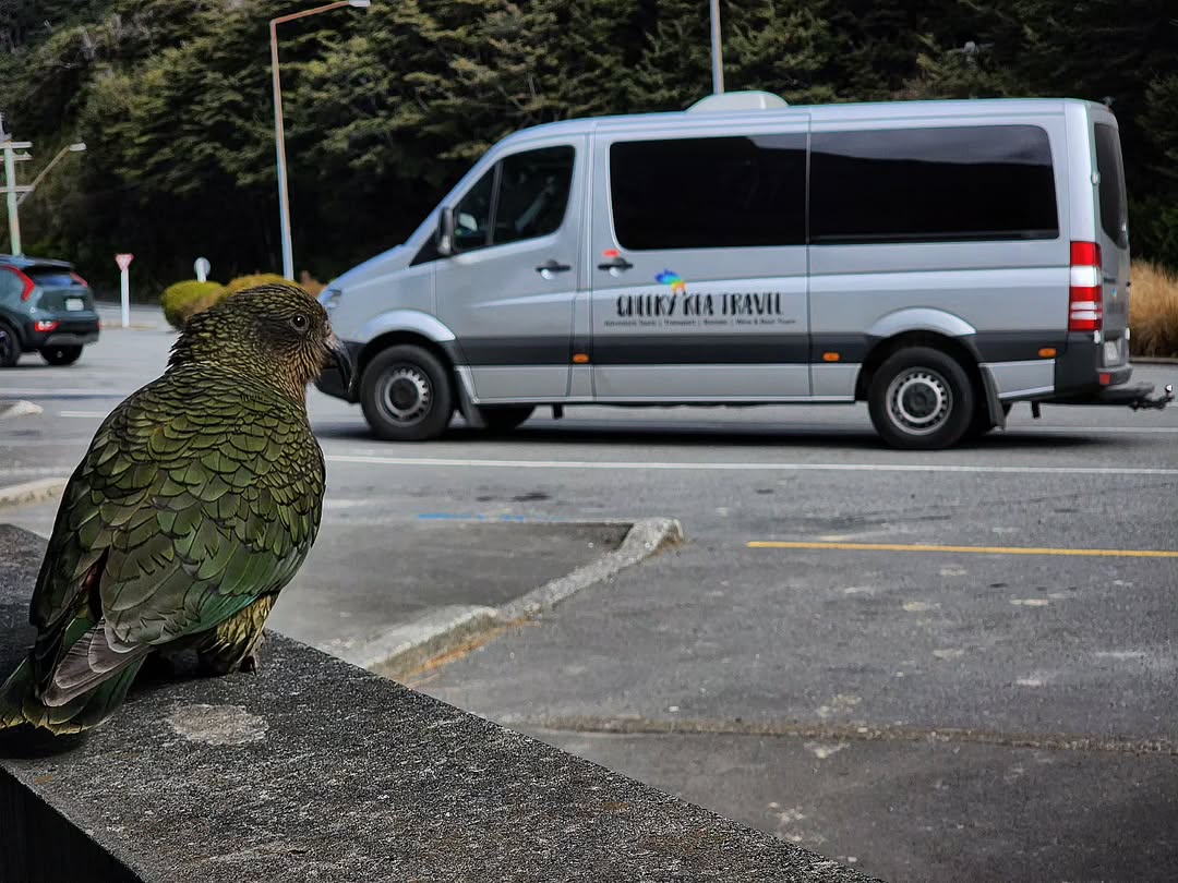 Cheeky Kea Travel New Zealand 2 Cheeky Kea Travel New Zealand 2